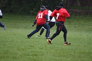 OTFL Gallery Image